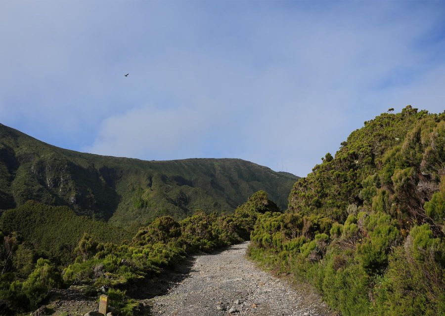 Azores: São Miguel and Lagoa do Fogo Hiking Trip - Following the old water levada