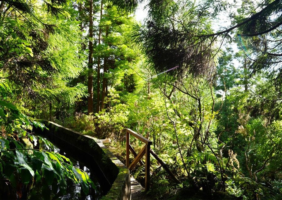 Azores: São Miguel and Lagoa do Fogo Hiking Trip - A flexible finish at Caloura or the coast