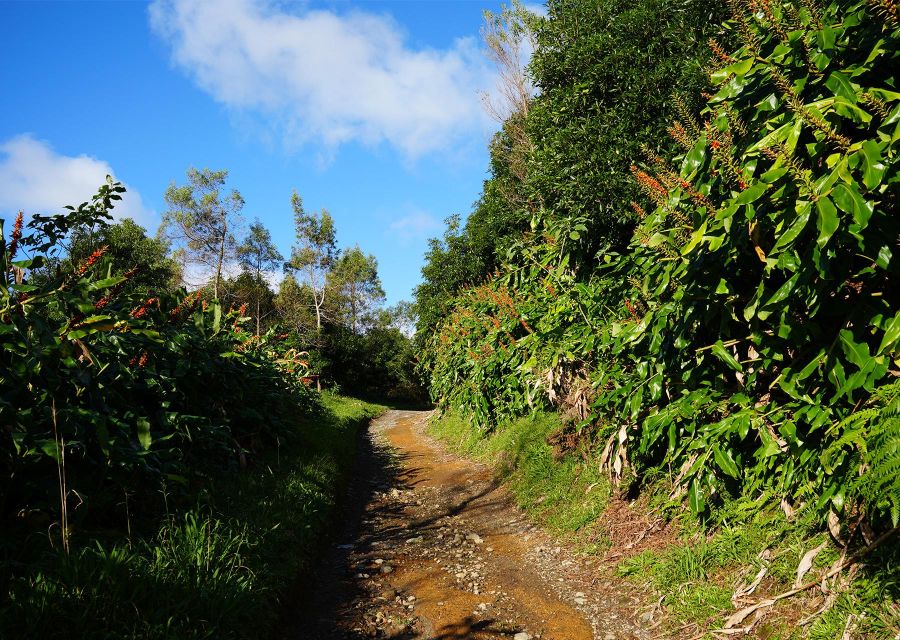 Azores: São Miguel and Lagoa do Fogo Hiking Trip - What the $76 price really covers