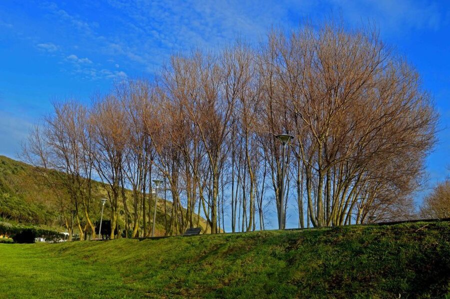 Azores: Terceira Island Full-Day Tour - Weather, clothing, and the practical details