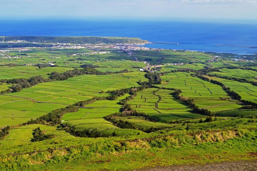 Azores: Terceira Island Full-Day Tour - Biscoitos: volcanic stone and the northern coast