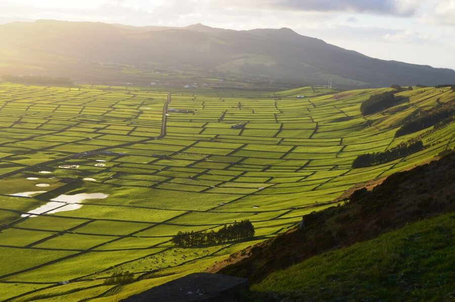 Azores: Terceira Island Full-Day Tour - Small groups make the van feel personal