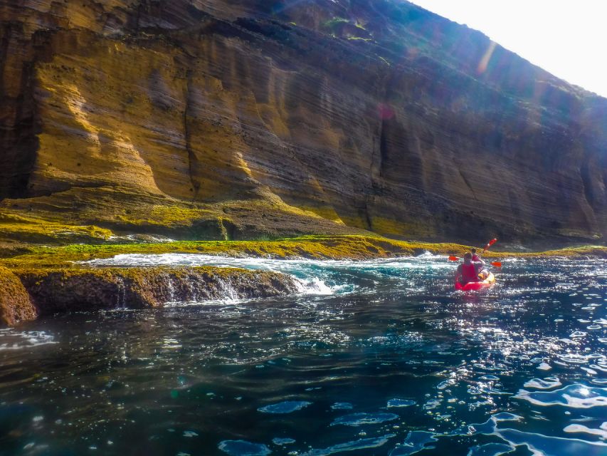 Azores: Vila Franca do Campo Islet Kayaking Experience - Why Vila Franca Islet is worth seeing by kayak