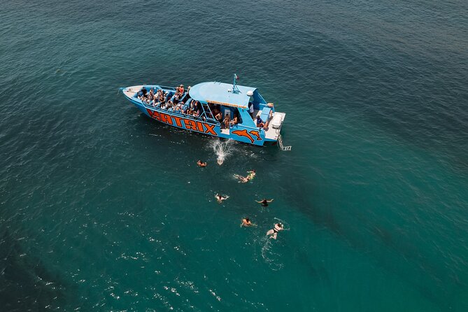 Benagil Caves and Dolphin Watching - 2.5h - Check-in at Albufeira Marina