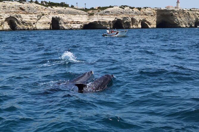 Benagil Caves Tour from Portimao - Carvoeiro and Vale de Centeanes Beach