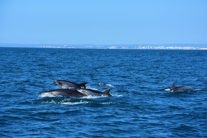 Benagil Caves Visit with Dolphins Watching from Albufeira - Leaving Albufeira Marina for the western coast