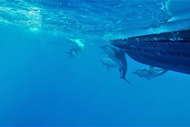 Benagil Caves Visit with Dolphins Watching from Albufeira - Alfanzina lighthouse and the tunnel