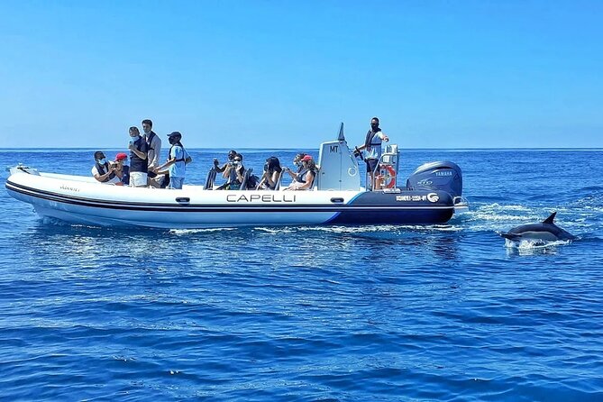 Benagil Caves Visit with Dolphins Watching from Albufeira - Armação de Pêra and the first coastal views