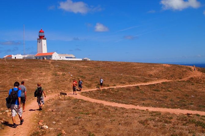 Berlenga Island Small-Group Day Trip from Lisbon - A protected reserve with plants and seabirds