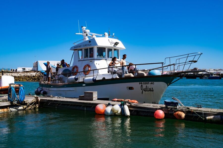 Berlengas The Atlantic Frontier: Day Tour from Lisbon - What the $117 price includes