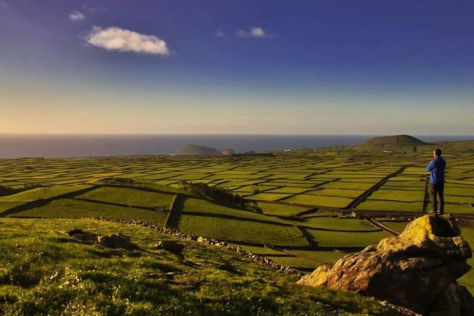BEST VIEW TOUR(Full Day Private Tour) - Local food and the value of an unhurried lunch