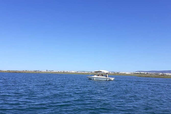 Birdwatching in Ria Formosa - Eco Boat Tour from Faro - Why Ria Formosa works so well from a boat