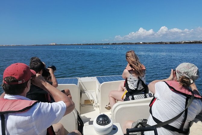 Birdwatching in Ria Formosa - Eco Boat Tour from Faro - Meeting at Faro Marina