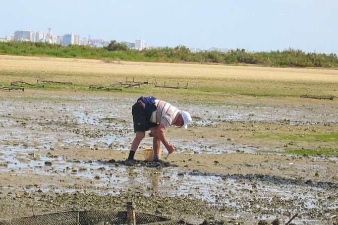 Birdwatching in Ria Formosa - Eco Boat Tour from Faro - Birdwatching results depend on tide and weather