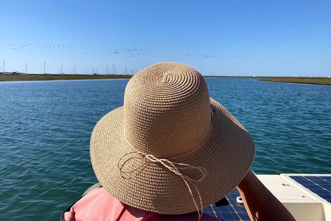 Birdwatching in Ria Formosa - Eco Boat Tour from Faro - Views of Faro on the return