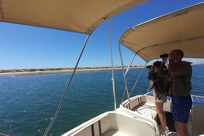 Birdwatching in Ria Formosa - Eco Boat Tour from Faro - Is the $48 price fair?