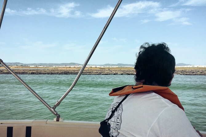Birdwatching in Ria Formosa - Eco Boat Tour from Faro - Marshes, mudflats, and working shellfish beds