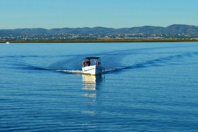 Boat Tour of 2 Ria Formosa Islands: Culatra and Armona - Armona or Deserta Beach, depending on season