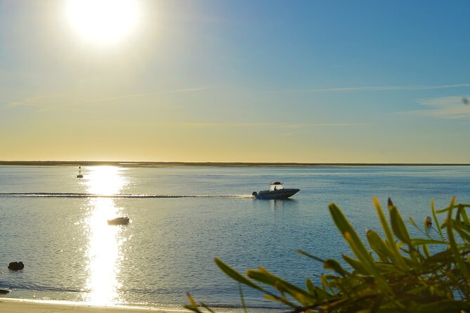 Boat Tour of 2 Ria Formosa Islands: Culatra and Armona - Value at $36.30 per person
