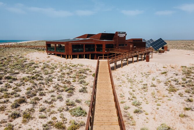 Boat trip from Faro to Ilha Deserta by Ferry - What to do once you arrive