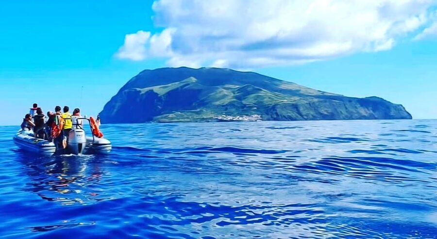 Boat Trip to Corvo and Island Sightseeing Tour - The Atlantic crossing and chances for whales
