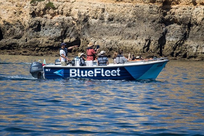 Boat Trip to Ponta da Piedade from Lagos - Timing the ride for comfort and better views