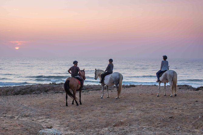 Bordeira Beach - Horse Riding Tour at Sunset - The horses and the quality of the guiding
