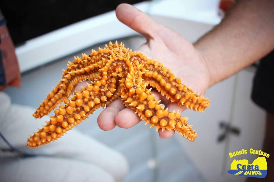 Bottom Fishing Lagos - Key points at a glance