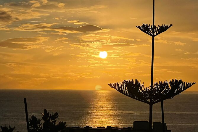 CABO GIRÃO (Half Day tour/3h) / Private Classic Car (4L). - Following the regional road through western Madeira