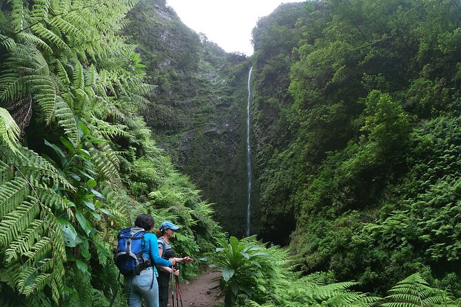 Caldeirão Verde Levada (PR 9) - Guided Madeira Levada Walk - Fitness, footwear, and what to pack