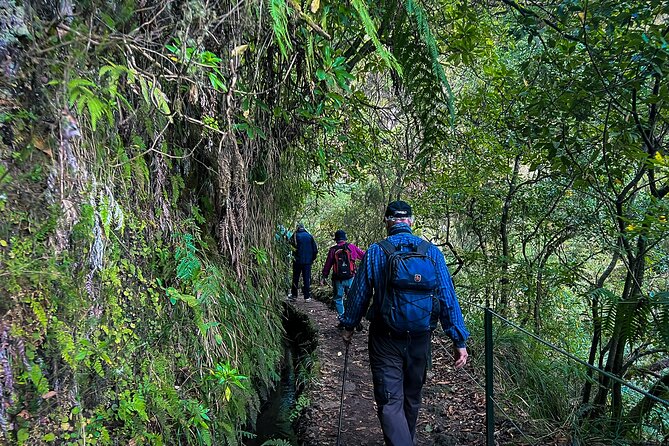 Caldeirão Verde Levada (PR 9) - Guided Madeira Levada Walk - What you get for $55.12