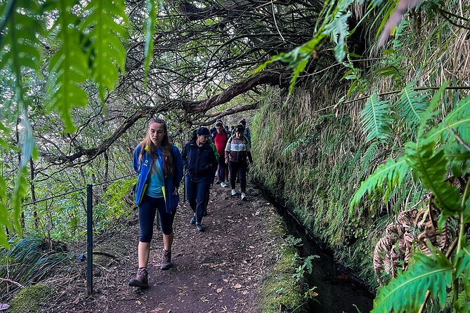 Caldeirão Verde Levada (PR 9) - Guided Madeira Levada Walk - How the guides shape the day