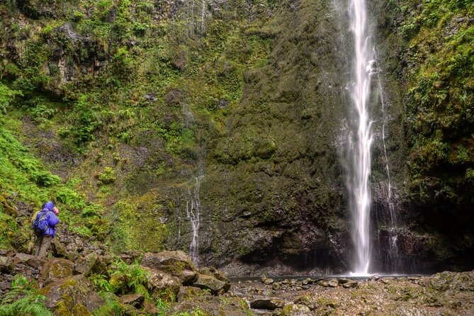 Caldeirão Verde Levada (PR 9) - Guided Madeira Levada Walk - Walking through Madeira’s Laurissilva forest
