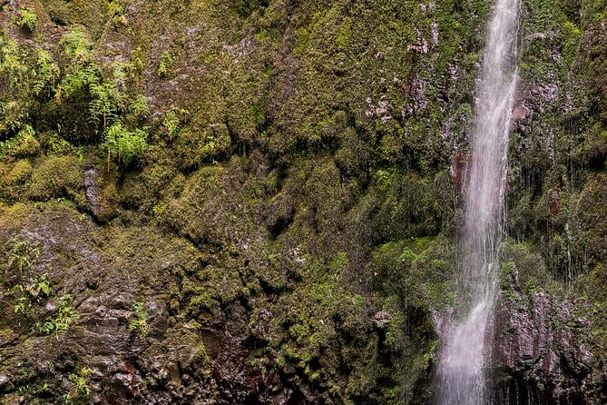 Caldeirão Verde Levadas Walk in Madeira - What the guide adds, and where the service can falter