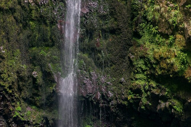 Caldeirão Verde Levadas Walk in Madeira - Weather, fitness, and what to pack