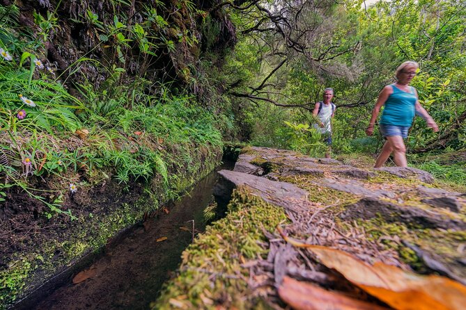 Caldeirão Verde Levadas Walk in Madeira - Is $52.86 good value?