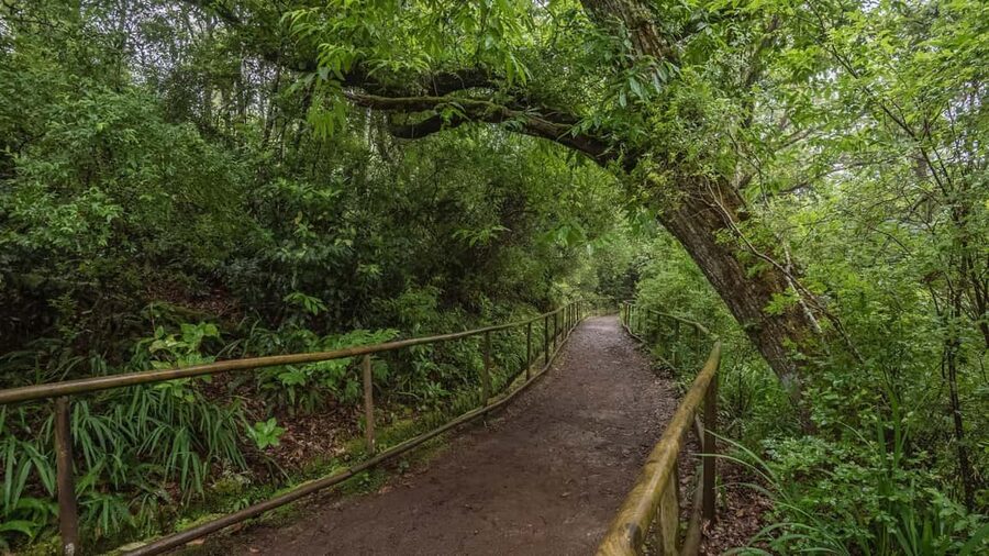 Caldeirão Verde: Queimadas PR9 Transfer and Self-Guided Hike - Key points to know before booking