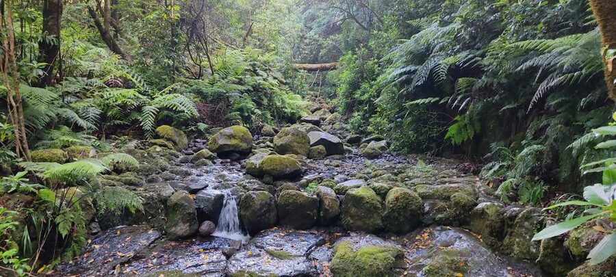 Caldeirão Verde: Queimadas PR9 Transfer and Self-Guided Hike - What to pack for this Madeira hike