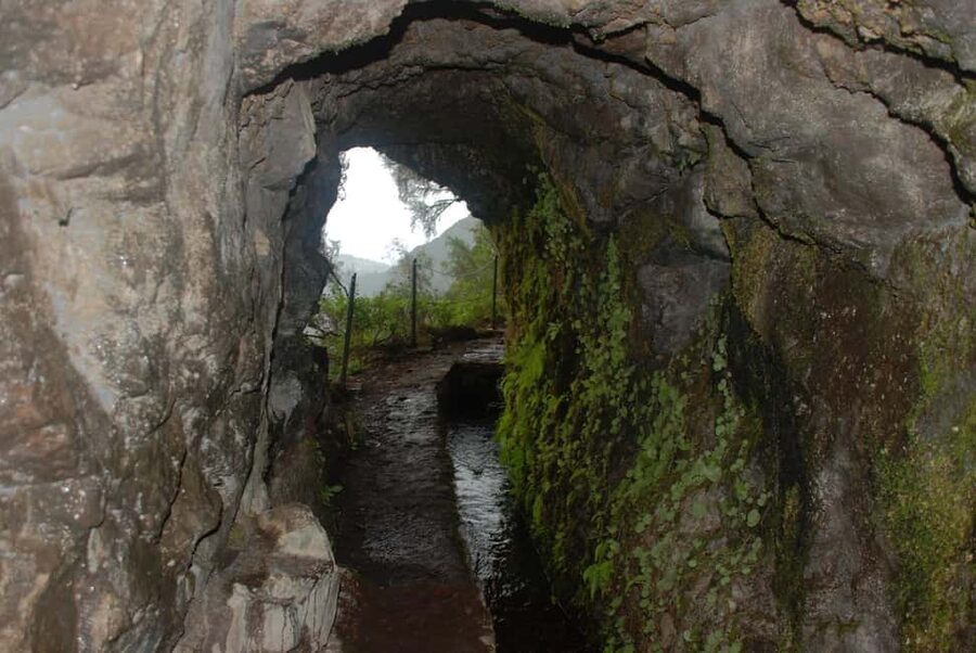 Caldeirão Verde: Queimadas PR9 Transfer and Self-Guided Hike - Walking the levada through Laurissilva Forest