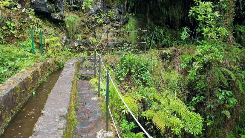 Caldeirão Verde: Queimadas PR9 Transfer and Self-Guided Hike - The 1.9-kilometer ending section