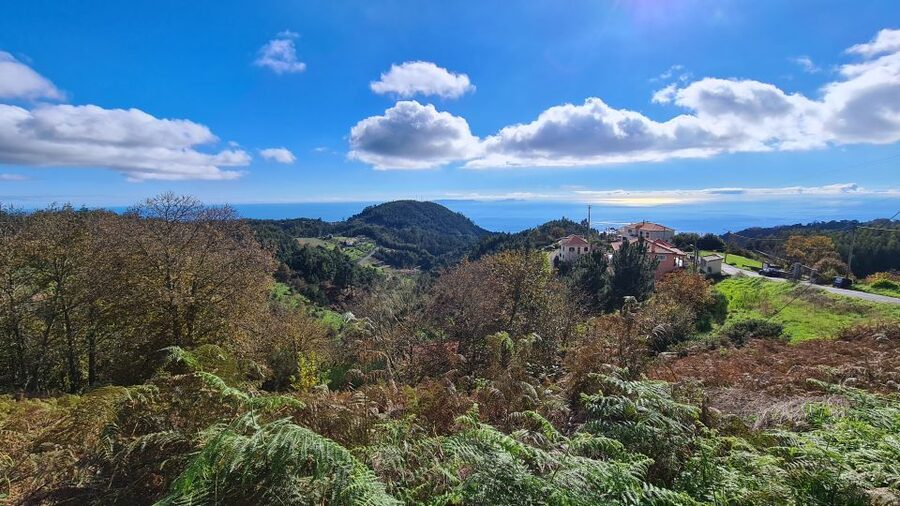Camacha: Levada Trail e-Bike Guided Tour - Key points to know before you book