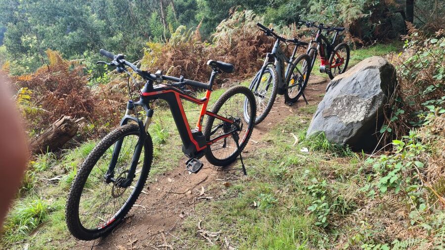 Camacha: Levada Trail e-Bike Guided Tour - The water mill stop and a welcome pause