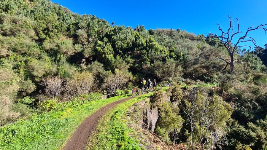 Camacha: Levada Trail e-Bike Guided Tour - Bikes, equipment, and guide support