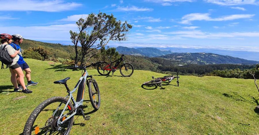 Camacha: Levada Trail e-Bike Guided Tour - Following the levada through eucalyptus and laurel trees