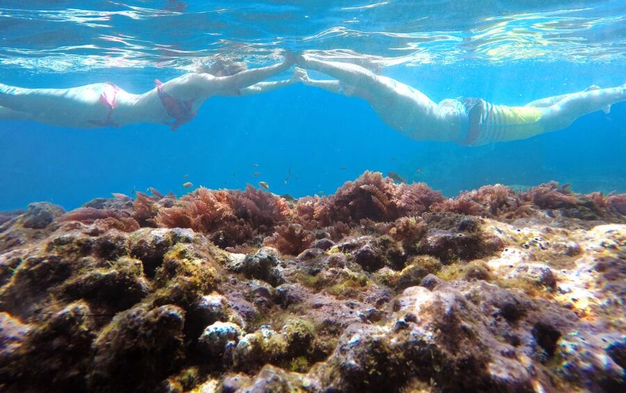 Caniço, Madeira: Marine Reserve Kayak & Snorkelling Tour - Key points to know before booking