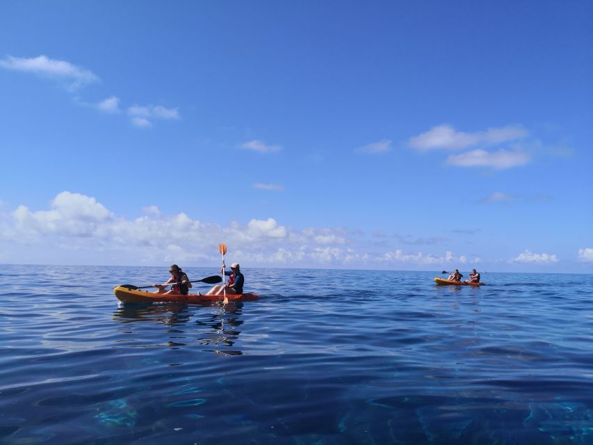 Caniço, Madeira: Marine Reserve Kayak & Snorkelling Tour - Who should book this Caniço activity?