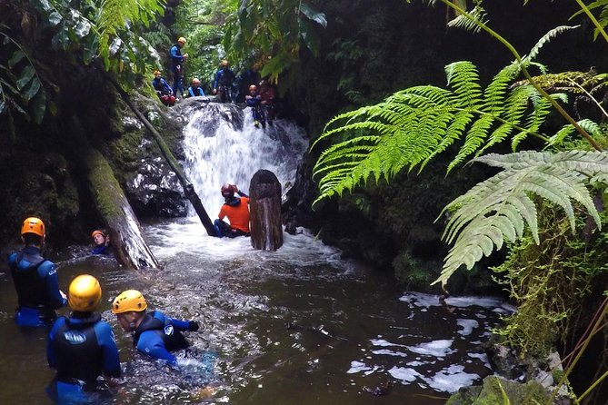 Canyoning Experience at Ribeira Grande - What the Ribeira Grande canyoning trip is really like