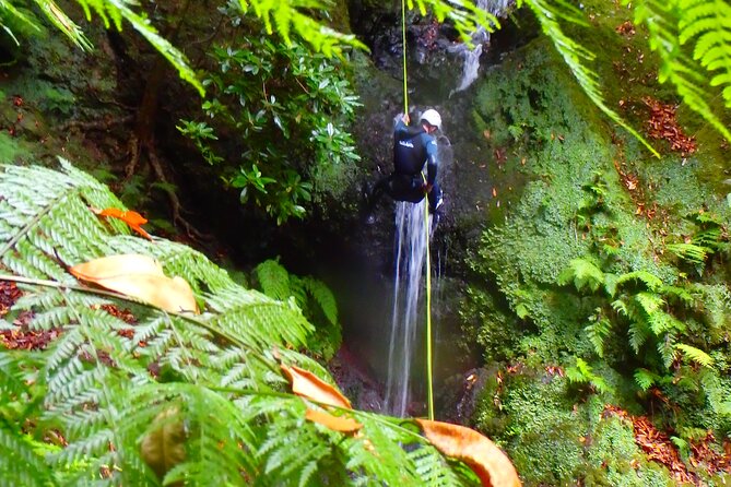Canyoning Madeira Island - Level One - A good fit for families and first-timers, with limits