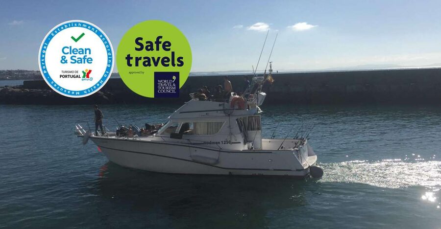 Cascais Deep-Sea Fishing Trip - What you might catch near Cascais