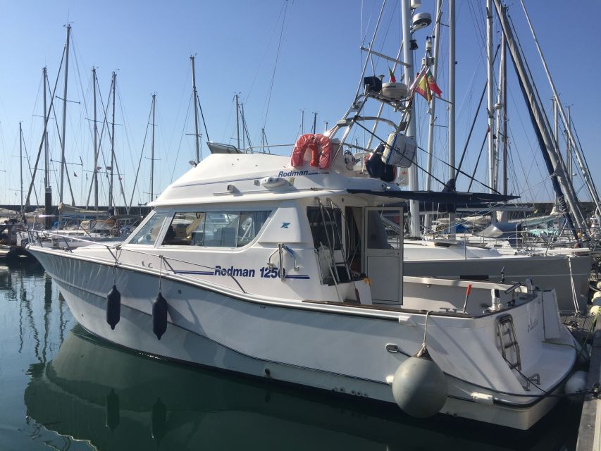 Cascais Deep-Sea Fishing Trip - Four hours or a full day on the water